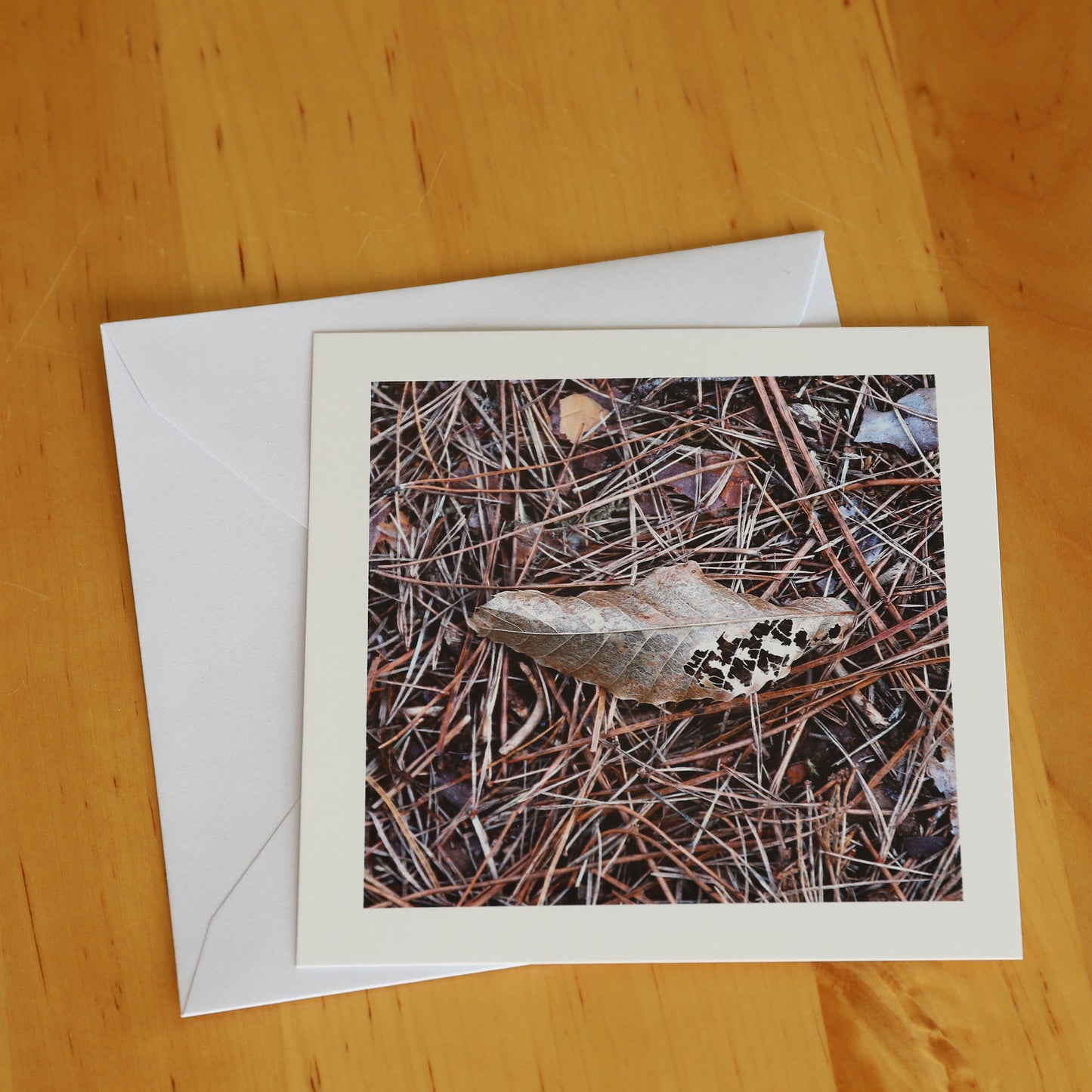 Carte postale "Automne"