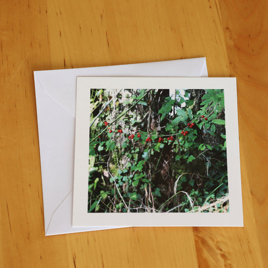 Carte postale "Guinguette"