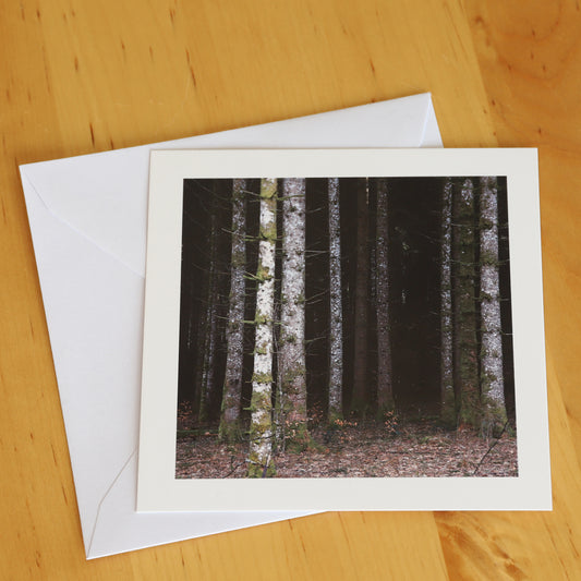Carte postale "Dans les bois"