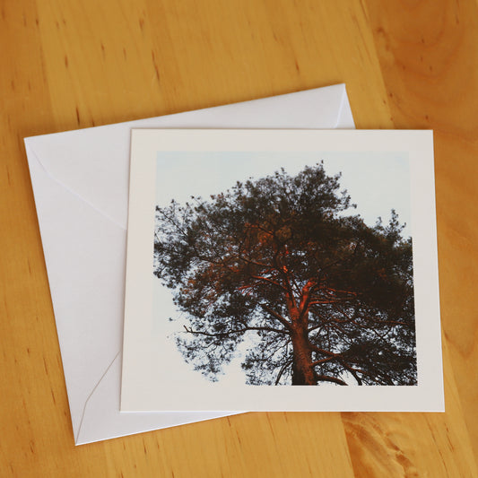 Carte postale "Coucher de soleil"