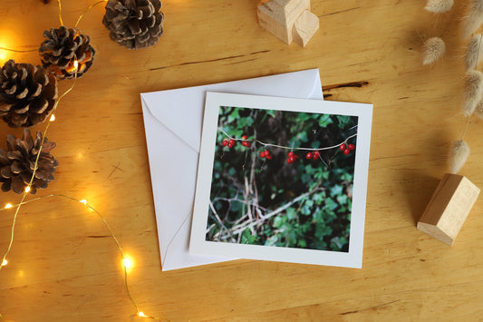 Carte postale "Forêt en fête"